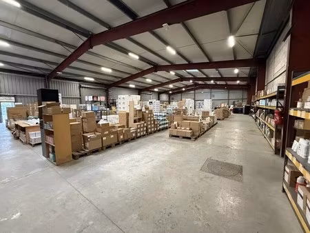location local d’activités septèmes-les-vallons 13240 1000m²