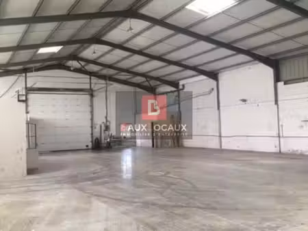 location local d’activités vedene 84270 500m²