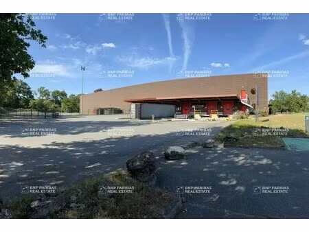 location entrepôt logistique canéjan 33610 8927m²