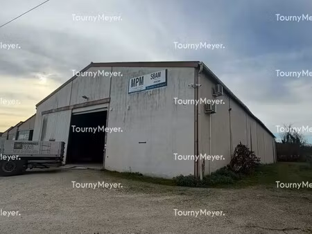 location local d’activités carbon blanc 33560 750m²