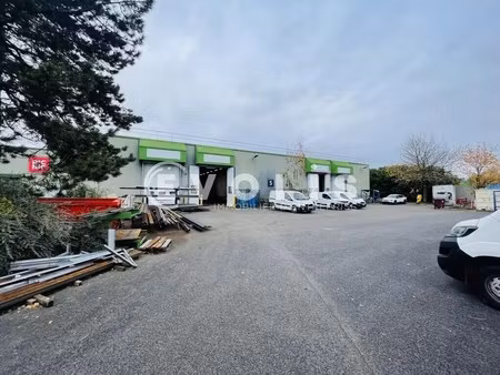 location local d'activités 334 m² à 2 003 m²