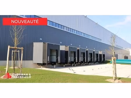 location entrepôt 5 600 m²