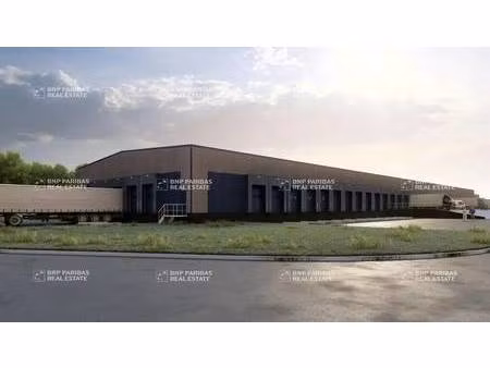 location entrepôt 6 215 m²