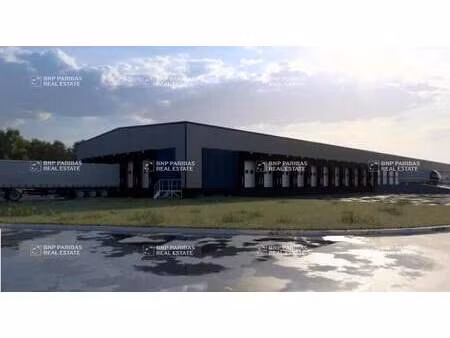 location entrepôt logistique 6 215 m²