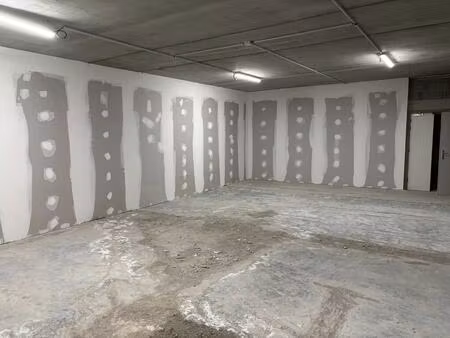 location entrepôt colmar 68000 44m² à 530m²