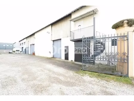 location entrepôt 278 m²