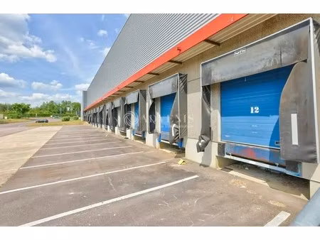 location entrepôt 8 460 m²