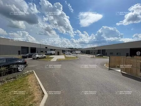 location bureaux 229 m²