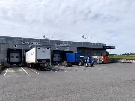 location entrepôt 15 000 m²