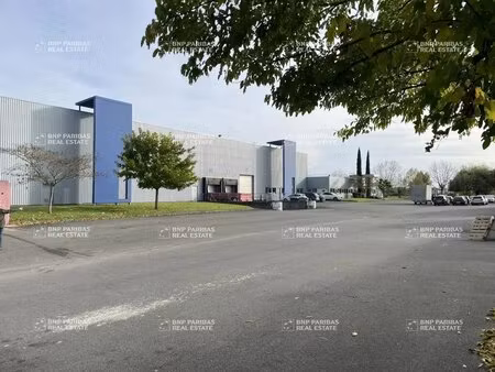 location entrepôt blanquefort 33290 225m² à 15607m²