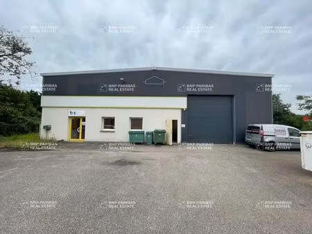 location local d’activités ludres 54710 589m²