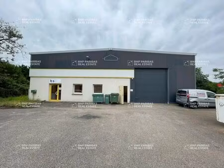 location local d'activités 589 m²