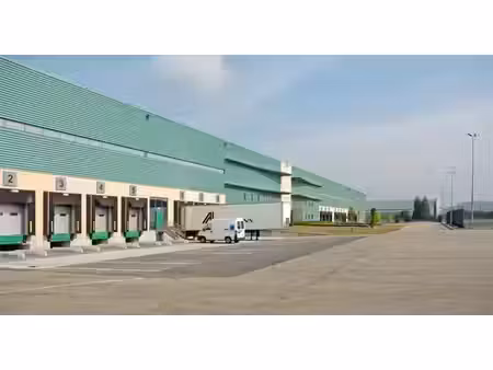 location local d’activités saint-vulbas 01150 21240m²