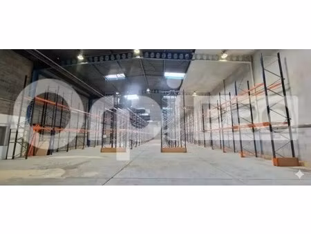 location local d’activités wissous 91320 1351m²