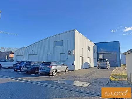 location local d’activités gaillac 81600 763m²