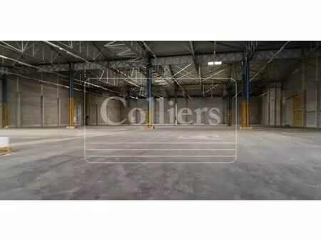 location entrepôt 6 517 m² à 14 862 m²