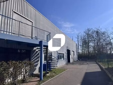 location local d’activités geispolsheim 67118 446m²