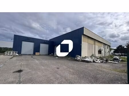 location local d’activités eckbolsheim 67201 958m²