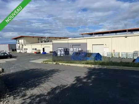 location local d’activités frontignan 34110 2412m²