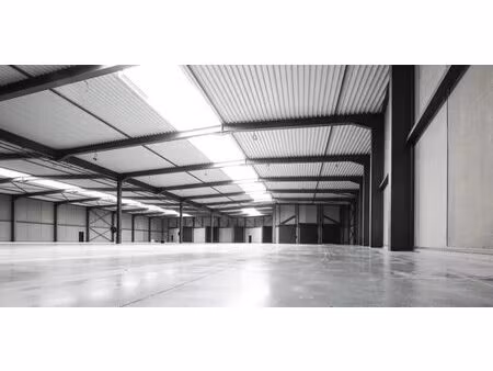 location local d’activités le mesnil-amelot 77990 550m² à 11210m²