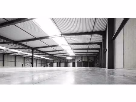 location local d'activités 550 m² à 11 210 m²