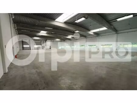 location entrepôt 1 333 m²