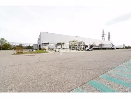 location entrepôt 2 393 m²