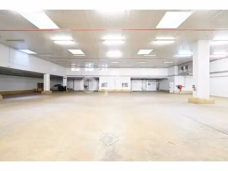 location entrepôt mions 69780 2448m²