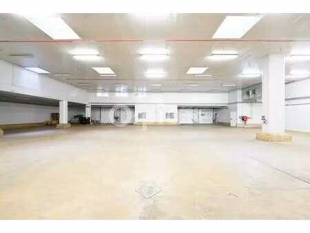 location entrepôt mions 69780 556m² à 4992m²