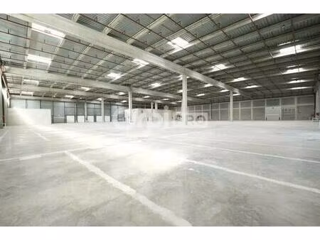location entrepôt mions 69780 5793m²