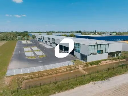 location local d'activités 981 m²