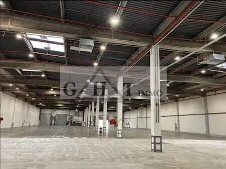 location entrepôt 8 577 m²