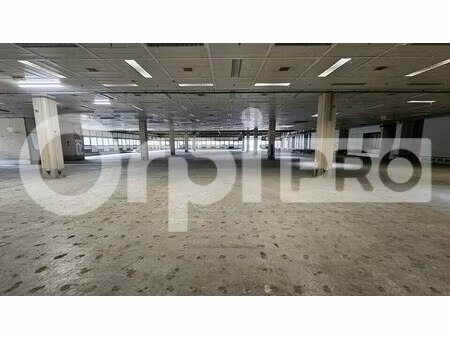 location entrepôt 2 500 m²