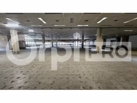 location entrepôt canejan 33610 2500m²