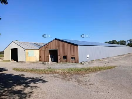 location entrepôt 1 200 m² à 4 400 m²