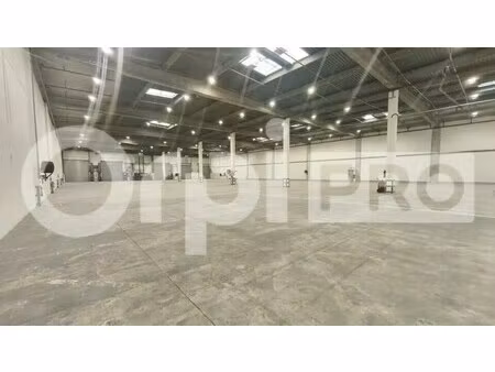 location entrepôt 4 272 m² à 8 577 m²