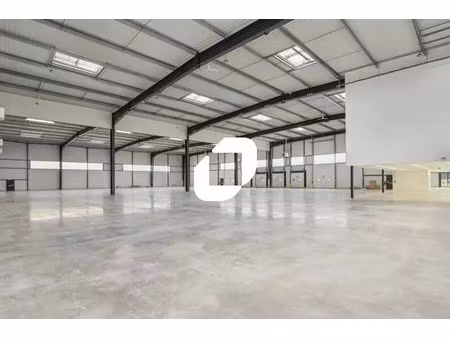 location local d'activités 113 m² à 1 732 m²