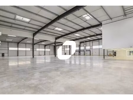 location local d'activités 113 m² à 1 732 m²