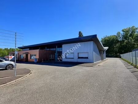 location local d’activités l hopital 57490 216m²