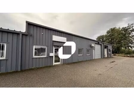 location local d’activités reichstett 67116 400m²