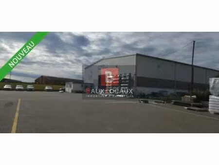 location local d'activités 2 500 m²