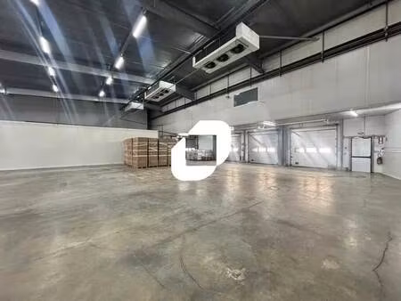 location entrepôt 1 500 m²