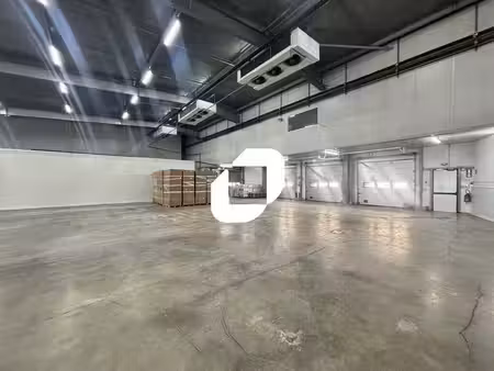 location entrepôt bordeaux 33800 1500m²