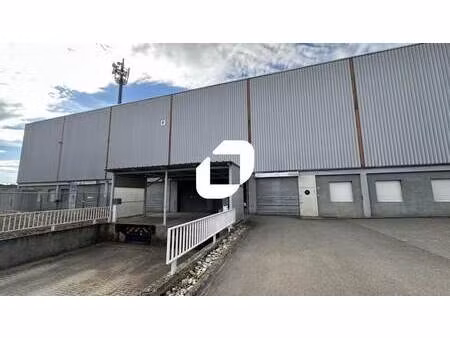 location local d’activités selestat 67600 260m²