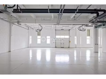 location local d'activités 156 m² à 1 638 m²