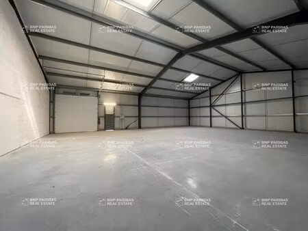 location local d’activités montussan 33450 442m²