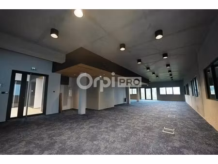 location local d’activités rillieux la pape 69140 150m² à 532m²