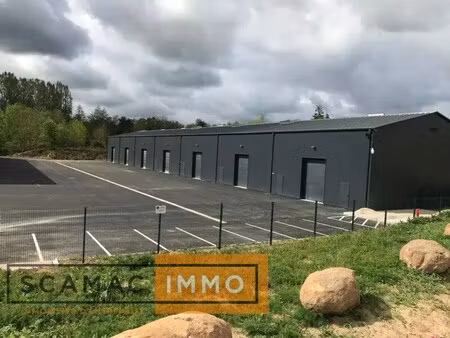 location entrepôt bruyeres le chatel 91680 196m²