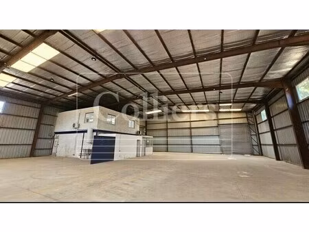 location local d'activités 732 m²