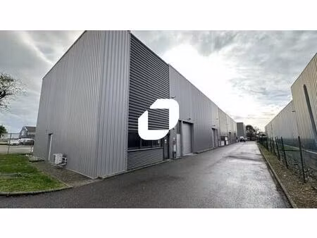 location local d’activités illkirch graffenstaden 67400 246m²